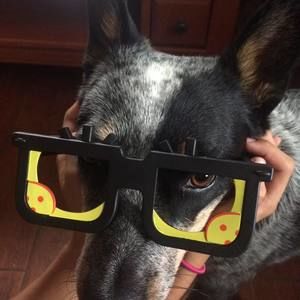 Meet your Posher, Belia